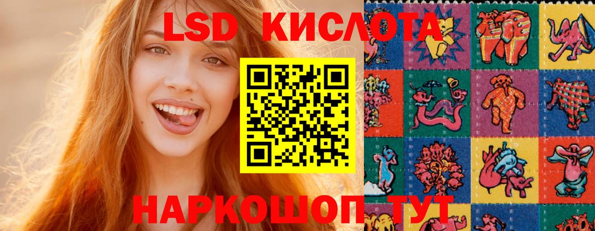 Бердск  ЛСД экстази  Вход с VPN  Лсд 25 экстази кислота 